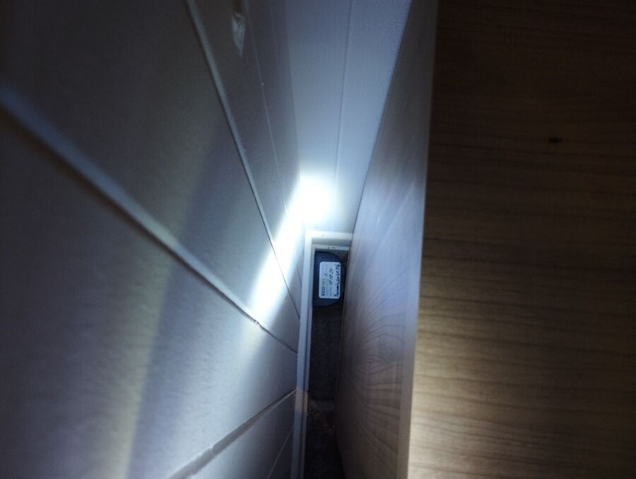 rat-fighting-rat-repelling