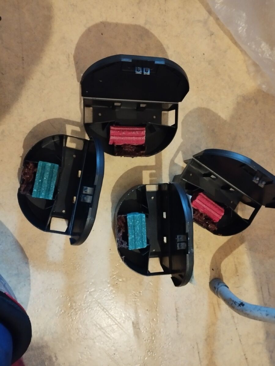 rat-rodent (3627).jpeg