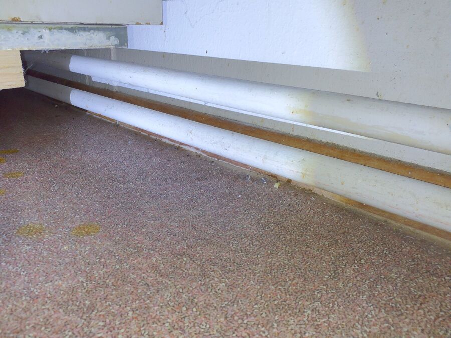 rat-fighting-rat-repelling