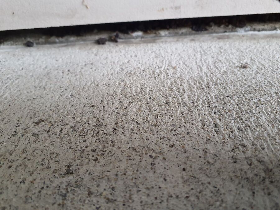 rat-fighting-rat-repelling